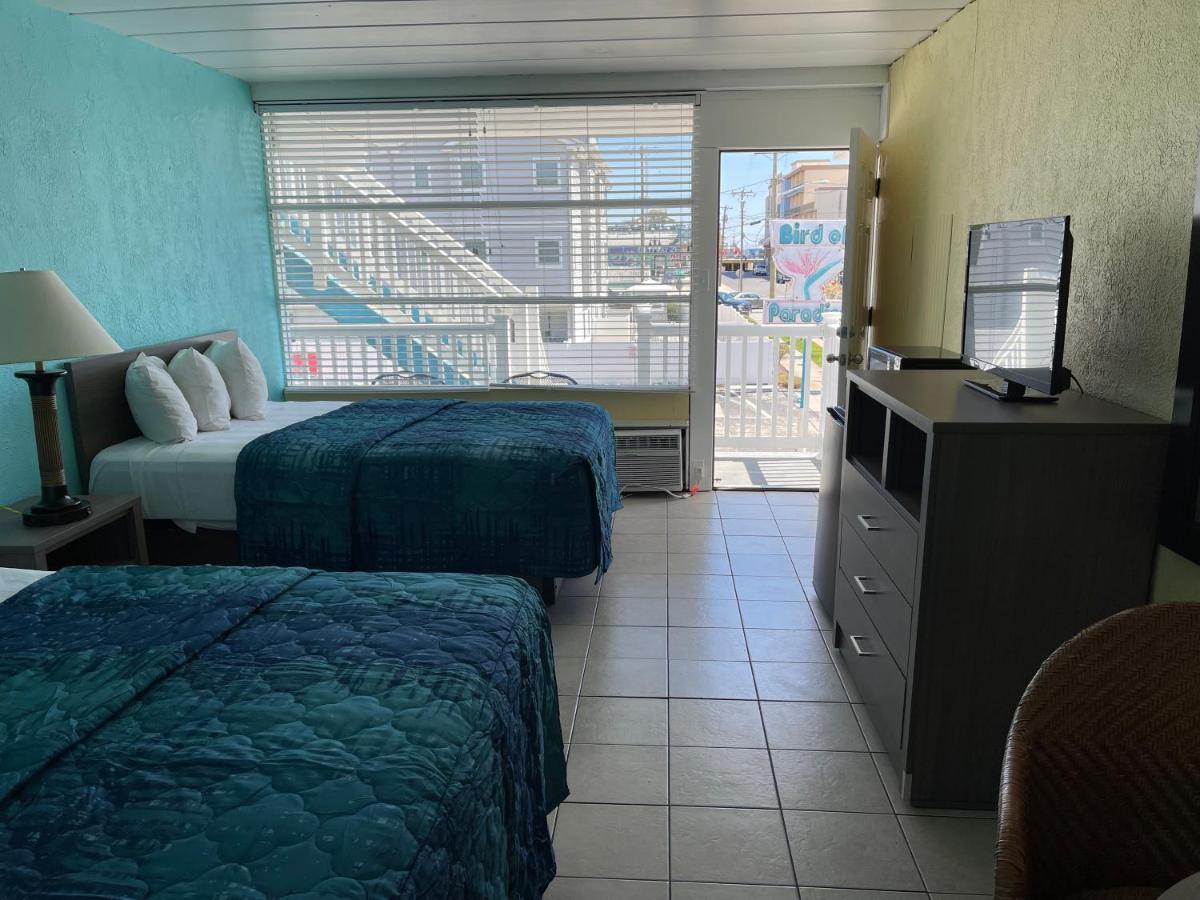 Bird Of Paradise Motel North Wildwood