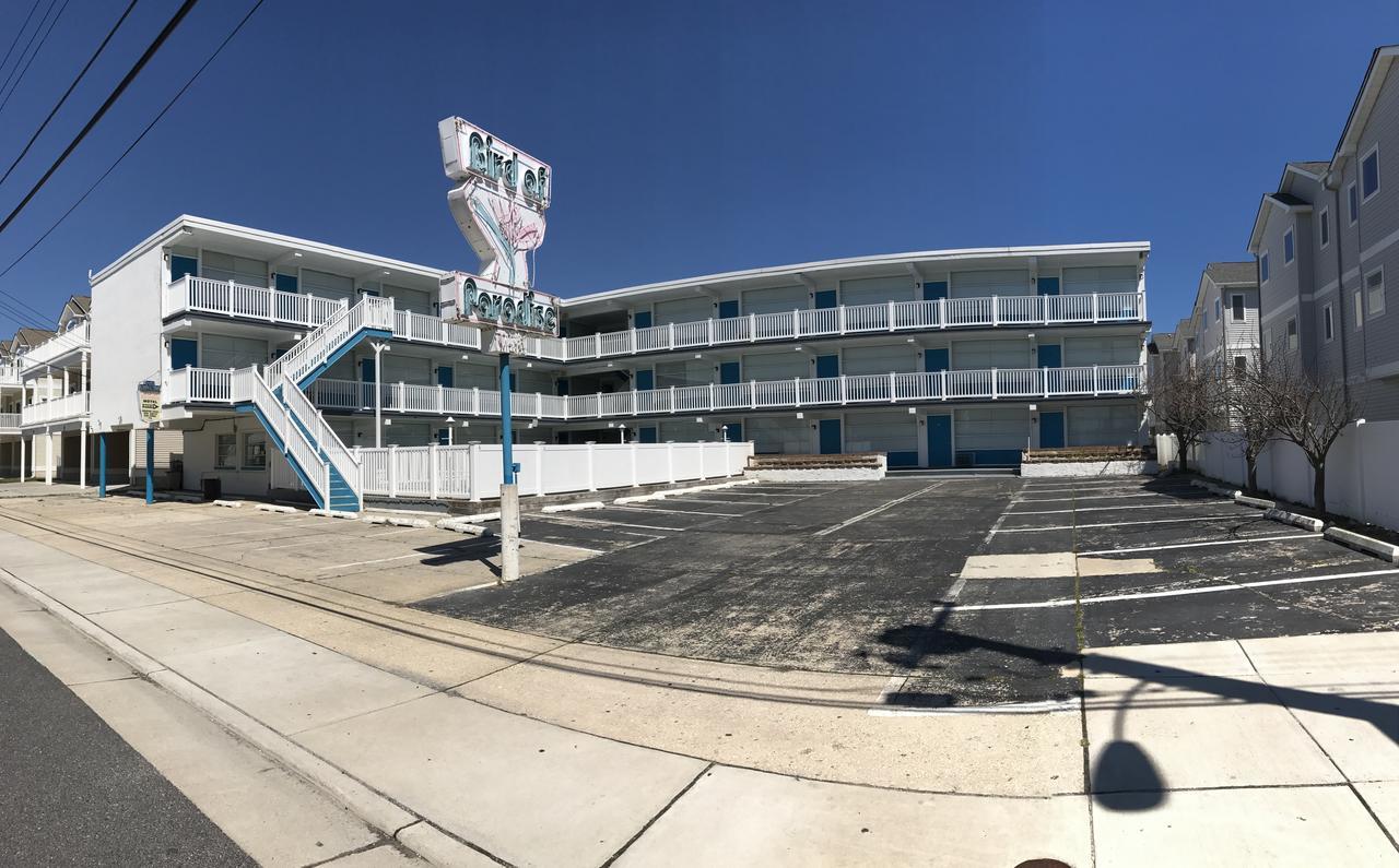Bird Of Paradise Motel North Wildwood